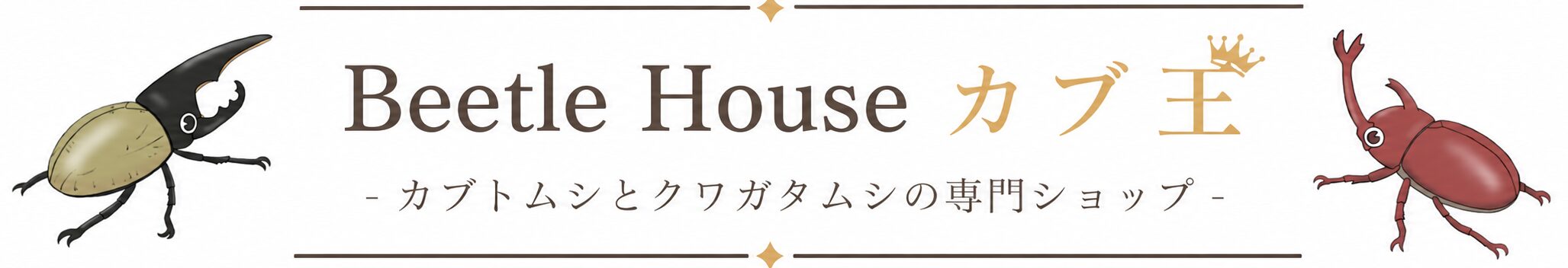 Beetle House カブ王